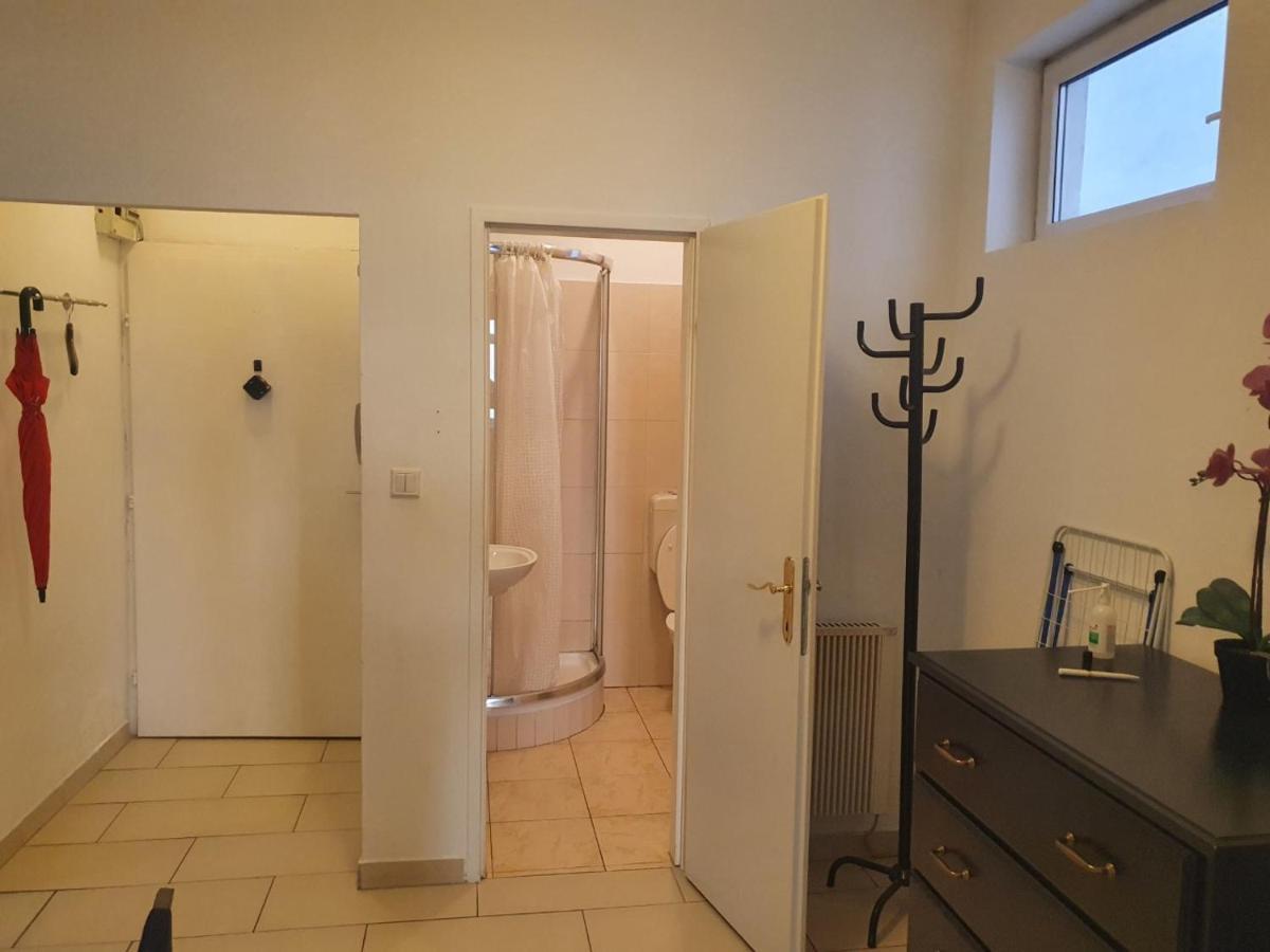 Spacious Apartment Near The Center فيينا المظهر الخارجي الصورة